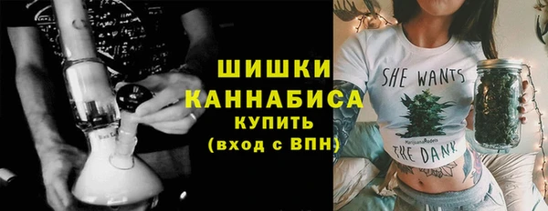 стаф Вязьма