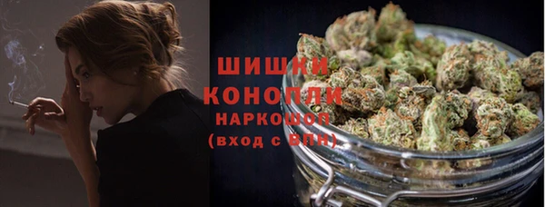 стаф Вязьма