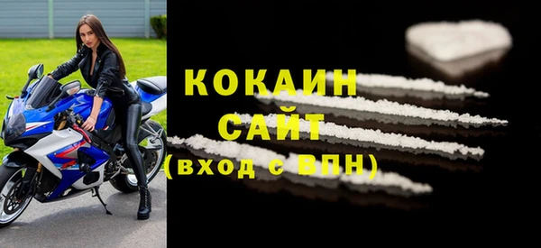стаф Вязьма