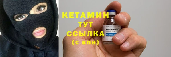 стаф Вязьма