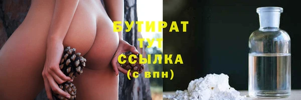 стаф Вязьма