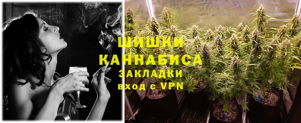 стаф Вязьма