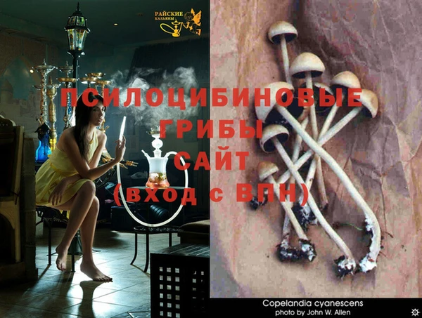 СК Вязники