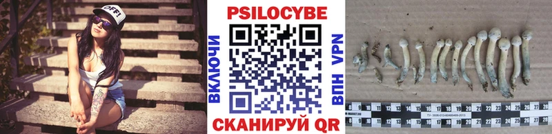 Псилоцибиновые грибы Cubensis  наркошоп  Евпатория 